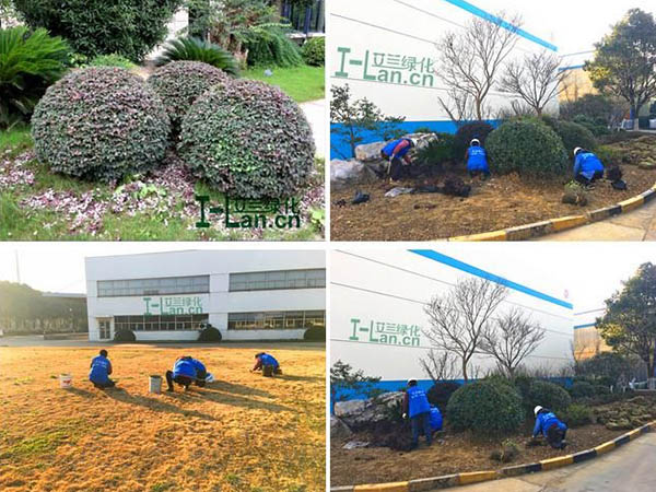 綠化養(yǎng)護(hù)項(xiàng)目